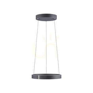 PURE E-CLIPSE 2560-15 Šedé závesné svietidlo s 2 LED diódami 9 PURE E-CLIPSE 2560-15 Šedé závesné svietidlo s 2 LED diódami small 9