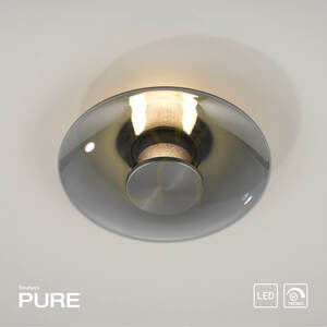 Nástenné a stropné LED svietidlo Paul Neuhaus PURE VITRUM 6082-15, sivé, dymové sklo, 22 cm small 11