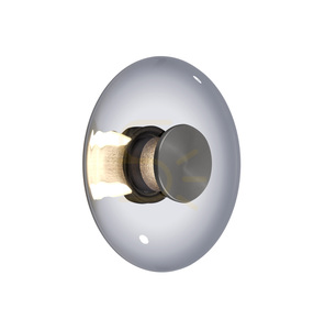 Nástenné a stropné LED svietidlo Paul Neuhaus PURE VITRUM 6082-15, sivé, dymové sklo, 22 cm small 23