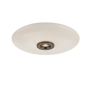 PURE VITRUM 6083-34 Hnedé stropné svietidlo, 2xLED 15 PURE VITRUM 6083-34 Hnedé stropné svietidlo, 2xLED small 15