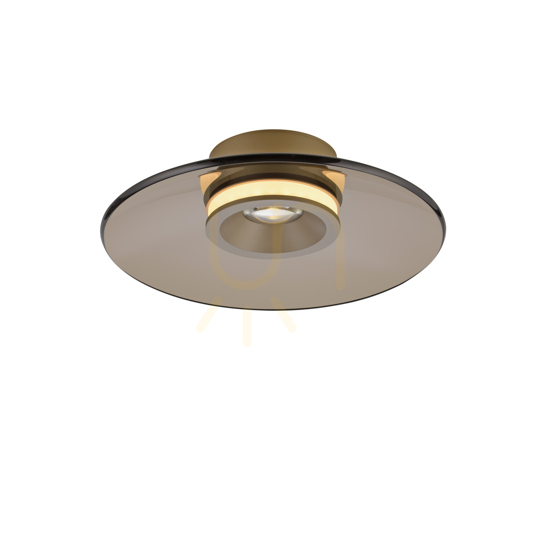 Skontrolujte PURE MOON 6094-97 Hnedé stropné svietidlo, 2xLED PURE MOON 6094-97 Hnedé stropné svietidlo, 2xLED