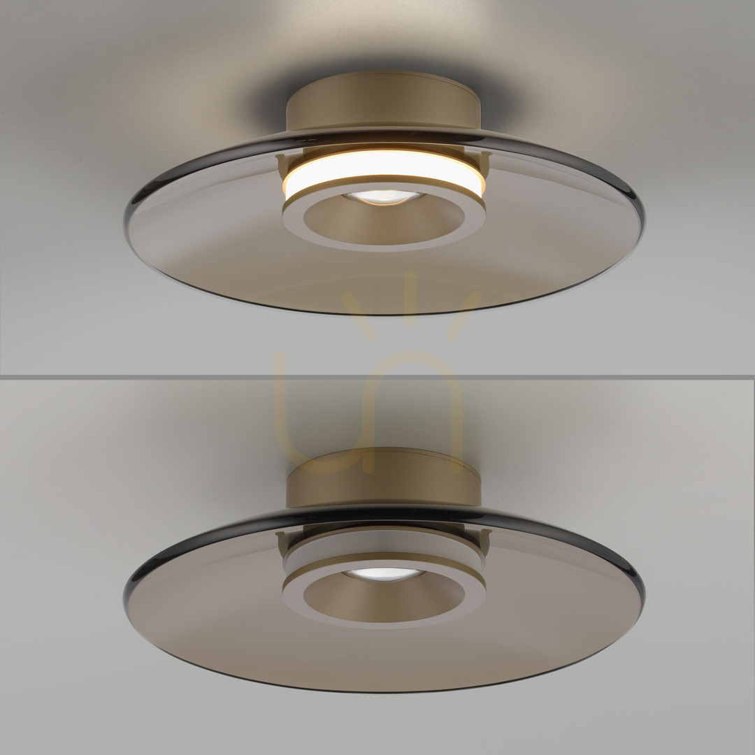 Náhľad PURE MOON 6094-97 Hnedé stropné svietidlo, 2xLED PURE MOON 6094-97 Hnedé stropné svietidlo, 2xLED