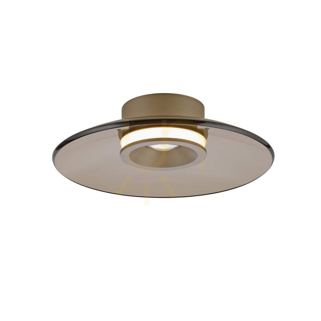 Náhľad PURE MOON 6094-97 Hnedé stropné svietidlo, 2xLED PURE MOON 6094-97 Hnedé stropné svietidlo, 2xLED