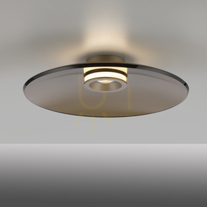 PURE MOON 6095-97 Hnedé stropné svietidlo, 2xLED small 20