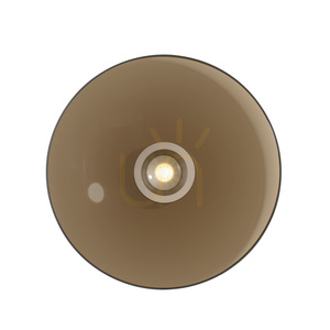 PURE MOON 6095-97 Hnedé stropné svietidlo, 2xLED small 27