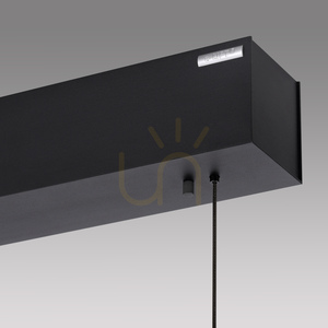 Paul Neuhaus PURE E-Motion 2570-79 čierne závesné svietidlo s 2 LED žiarovkami, s elektrickým nastavením výšky small 11