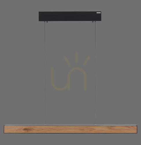 Skontrolujte PURE E-MOTION 2570-79 Čierne závesné svietidlo s 2 LED žiarovkami