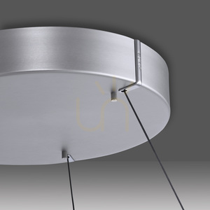 PURE E-LOOP 2550-95 Strieborné závesné svietidlo s 2 LED diódami small 8