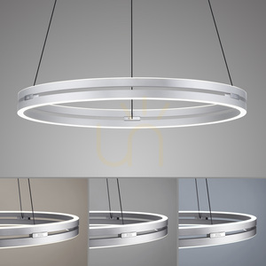 PUREE-LOOP 2551-95 Strieborné závesné svietidlo s 2 LED diódami 5 PUREE-LOOP 2551-95 Strieborné závesné svietidlo s 2 LED diódami small 5