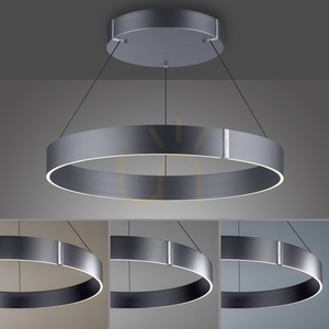PURE E-CLIPSE 2561-15 Šedé závesné svietidlo s 2 LED diódami small 5