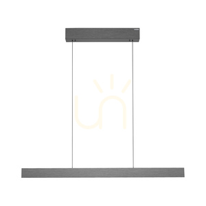 PURE E-MOTION 2570-15 Šedé závesné svietidlo s 2 LED žiarovkami small 17