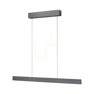 PURE E-MOTION 2570-15 Šedé závesné svietidlo s 2 LED žiarovkami small 7