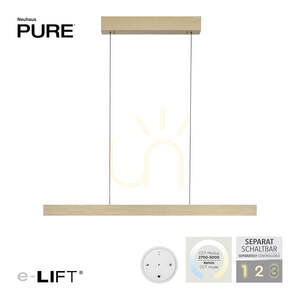 PURE E-MOTION 2570-60 Mosadzné závesné svietidlo s 2 LED žiarovkami small 2