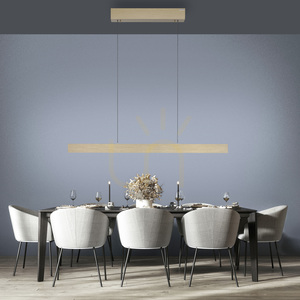 PURE E-MOTION 2570-60 Mosadzné závesné svietidlo s 2 LED žiarovkami small 3