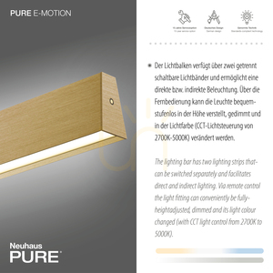 PURE E-MOTION 2570-60 Mosadzné závesné svietidlo s 2 LED žiarovkami small 4