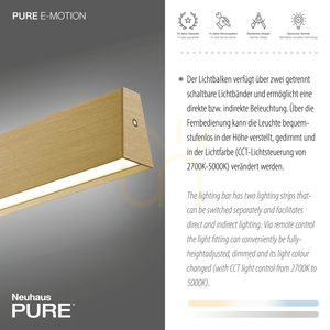 PURE E-MOTION 2570-60 Mosadzné závesné svietidlo s 2 LED žiarovkami small 5