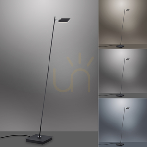 Stojaca lampa Paul Neuhaus PURE Mira 356-18, antracitová, 1xLED small 4
