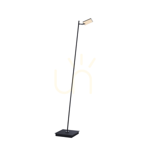Stojaca lampa Paul Neuhaus PURE Mira 356-18, antracitová, 1xLED small 6
