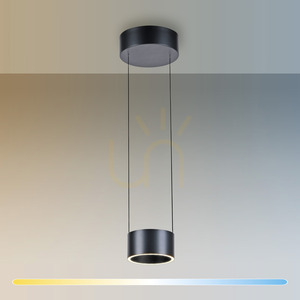 PURE CLIPSE 2471-15 Šedé závesné svietidlo s 2 LED žiarovkami small 2