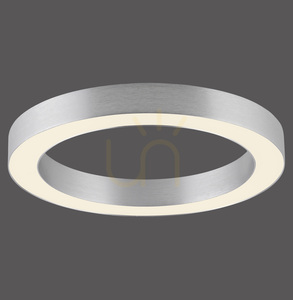 Stropné svietidlo PURE LINES ROUND 6310-95, strieborné, 1xLED 0 Stropné svietidlo PURE LINES ROUND 6310-95, strieborné, 1xLED small 0
