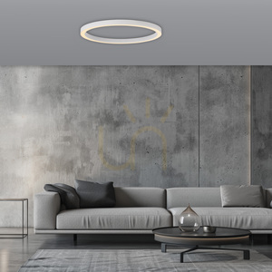 Stropné svietidlo PURE LINES ROUND 6306-16, biele, 1xLED small 3