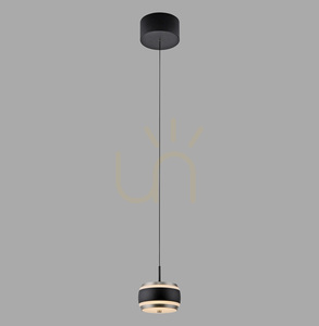 PURE FALLING RINGS 2503-18 Čierne závesné svietidlo s 1xLED small 0
