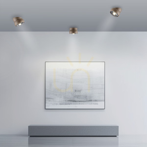 Stropné svietidlo PURE MOVE 6235-97, hnedé, 1xLED small 2