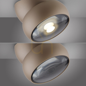 Stropné svietidlo PURE MOVE 6235-97, hnedé, 1xLED small 3