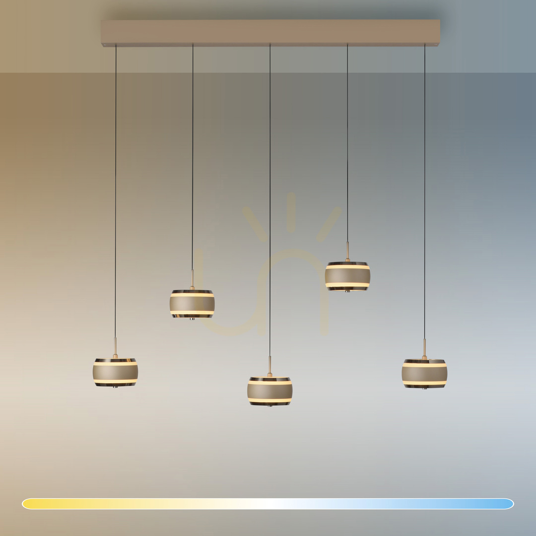 Náhľad PURE FALLING RINGS 2504-97 Hnedé závesné svietidlo s 5 LED diódami PURE FALLING RINGS 2504-97 Hnedé závesné svietidlo s 5 LED diódami