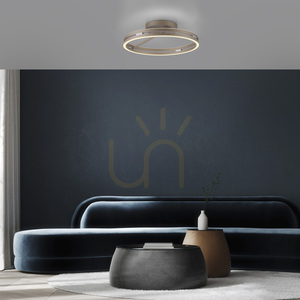 PURE LOOP 6552-97 Hnedé stropné svietidlo, 2xLED small 3