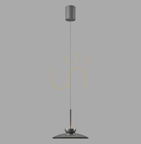 Skontrolujte PURE MOON 2191-15 Šedé závesné svietidlo s 2 LED žiarovkami