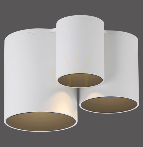 Skontrolujte PURE POINT 6750-16 Biele stropné svietidlo, 1xLED