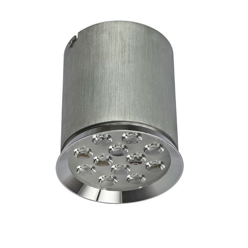 Skontrolujte Chloe 12 LED 230 V 12 W Ip20 45 St Cw strop