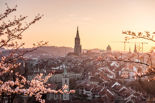 Skontrolujte Fototapeta západ slnka, Bern, kvitnúca čerešňa, Bernská katedrála, staré mesto