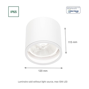 Chloe Ar111 Gu10 Ip65 okrúhle biele pevné 7 Chloe Ar111 Gu10 Ip65 okrúhle biele pevné small 7